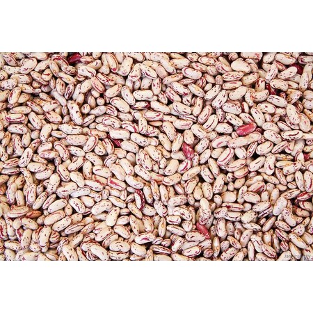 Commodity Beans Commodity Us #1 Grade Triple Clean Pinto Beans 50lbs 65002